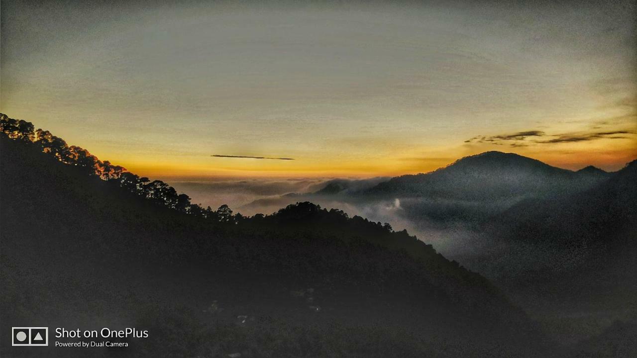 Green Roof Hotel Nainital Dış mekan fotoğraf